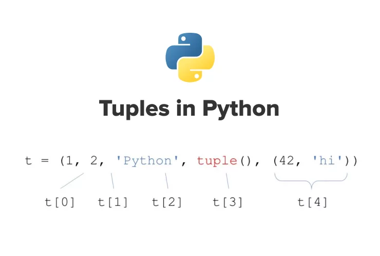 A graphic illustrating the concept of tuples in Python programming language. The image features the Python logo at the top, followed by the title “Tuples in Python” in bold font. Below the title, there is an example of a tuple assignment in Python code: “t = (1, 2, ‘Python’, tuple(), (42, ‘hi’))”. Beneath this line of code are arrows pointing to indices t[0] through t4, indicating the positions of elements within the tuple. The elements at these indices are 1, 2, ‘Python’, an empty tuple, and a nested tuple containing 42 and ‘hi’, respectively.