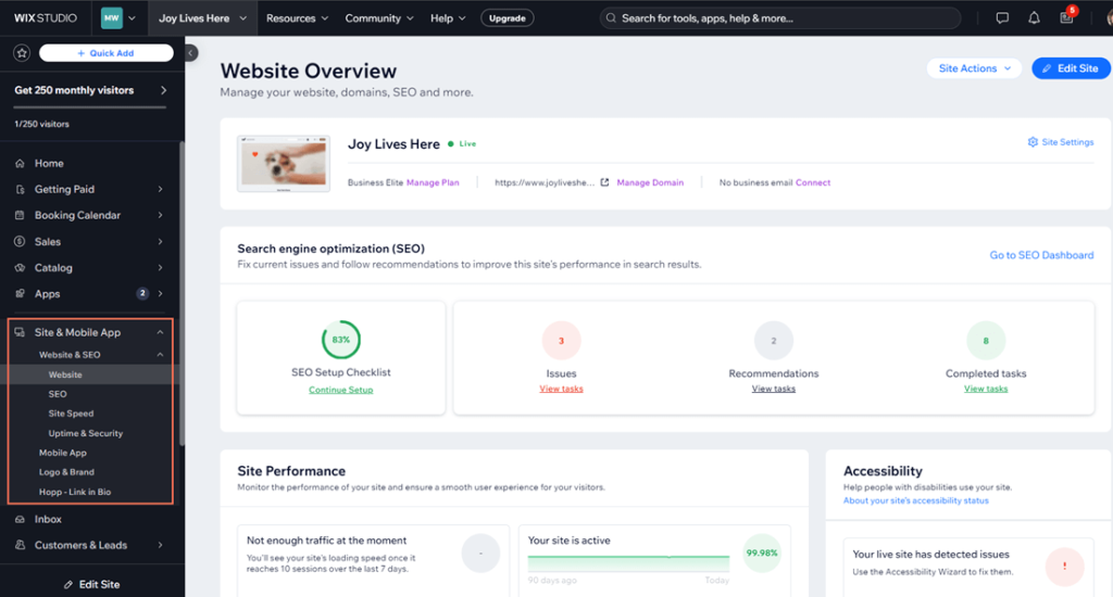 The page shows information about the website's performance, SEO, and accessibility. There are sections for SEO setup checklist, site performance, and accessibility. The SEO setup checklist shows the percentage of completed tasks, issues, and recommendations. The site performance section shows the site's current traffic and uptime. The accessibility section shows the site's accessibility status and provides a link to the Accessibility Wizard.


