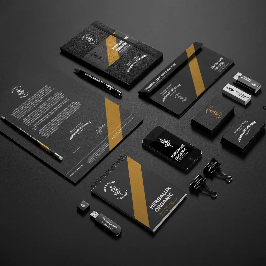 Collection of branded business stationery items for a company featuring a lion’s head logo, including business cards, letterheads, envelopes, a pen, USB flash drive, and binder clips, all in a black and gold color scheme